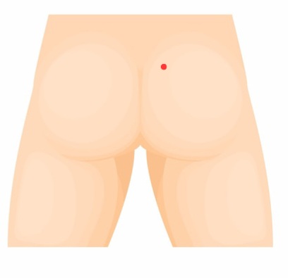 icone-fesses-humaines-style-cartoon-fond-blanc_96318-14815.jpg
